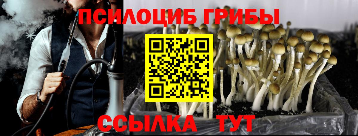 Псилоцибиновые грибы Psilocybe Нягань
